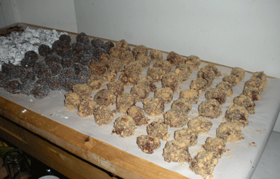 Truffle2